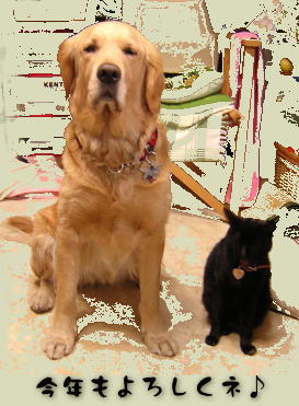 �M�d��2�V���b�g�I