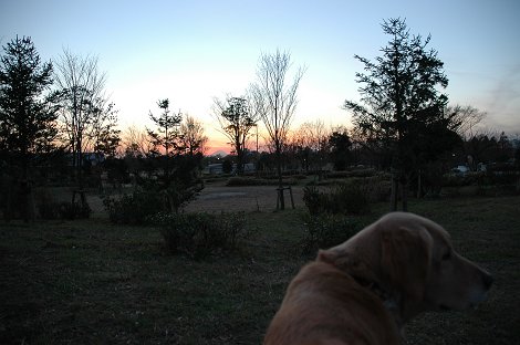 �ӂ�������ĒN�H